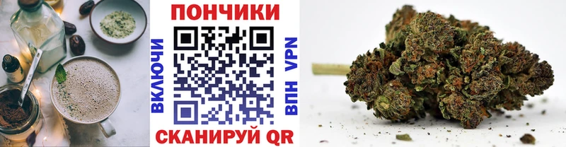 Купить где  Новосиль  Canna-Cookies марихуана 