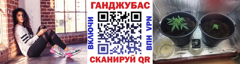 Конопля White Widow Купить Новосиль